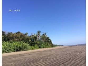 Beachfront Land 77 Hectares in Santa Catalina Panama