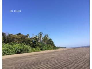 Land for Sale in Santa Catalina - 0 bedrooms