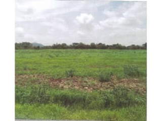 Land for Sale in El Coco - 0 bedrooms