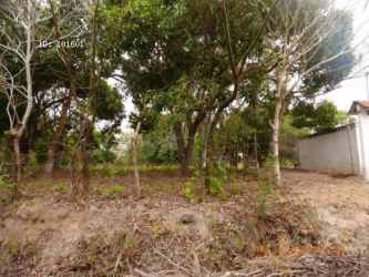 Rural wooded land ideal for eco-retreat or country home near Playa Piedras Gordas Panama