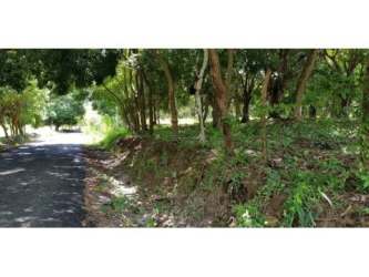 Paved entrance road flanked by trees accessing rural land plot in El Higo San Carlos Panama
