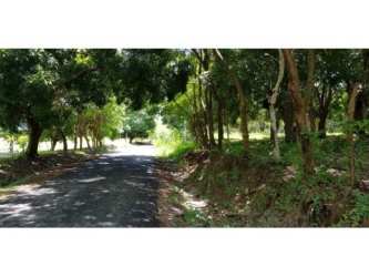 Natural wooded terrain for sale, ideal countryside location in San Carlos Panama