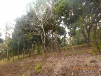 Partially sloped wooded countryside land lot investment in San Carlos Panama