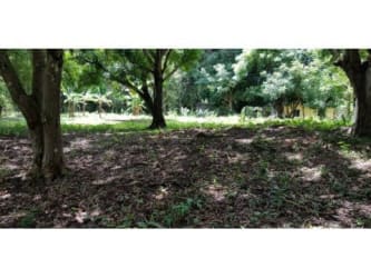 Tree-covered land parcel with partial fencing ideal rural investment in Panama