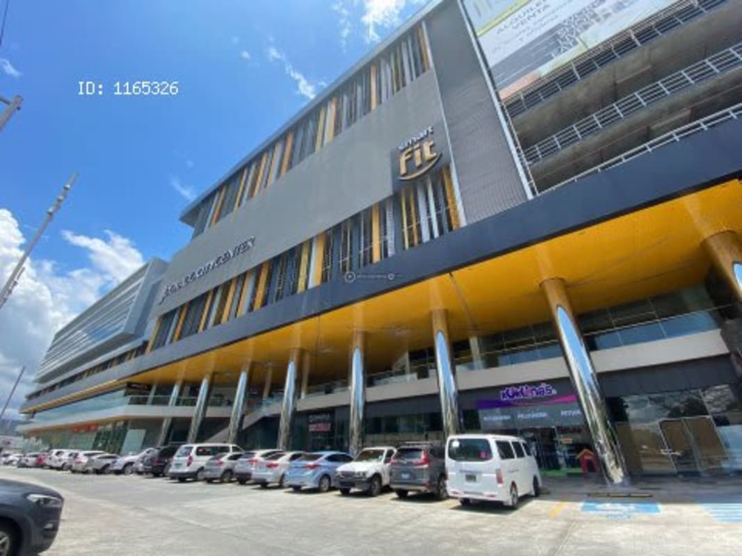 Interior hallway with wood panel walls, glass office doors, contemporary lighting in Dorado City Center Panama