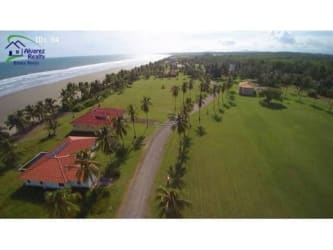 Aerial view of beachfront land with lush palm tree landscaping, blue ocean, Las Lajas Chiriquí Panama