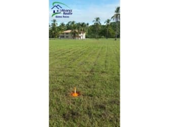 View of Pacific Ocean and grassy beachfront estate with palm tree landscaping in Chiriquí Panama