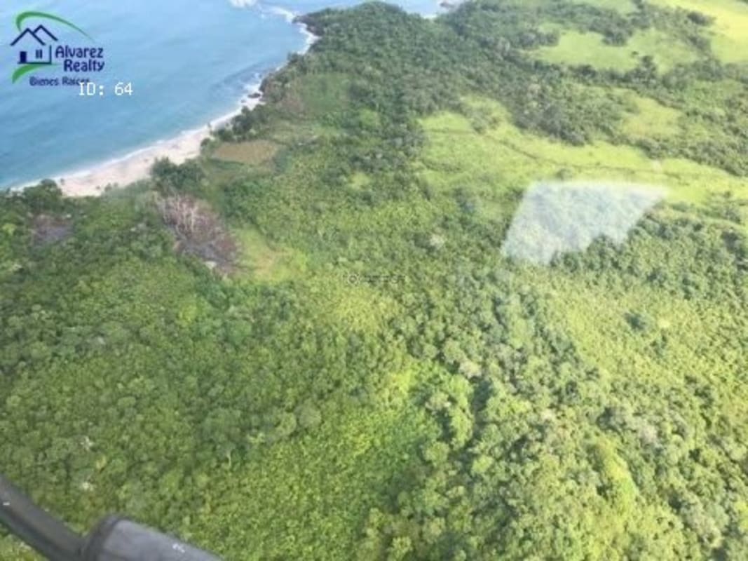 Coastal peninsula view Isla del Rey — oceanfront land dense vegetation in Pearl Islands Panama