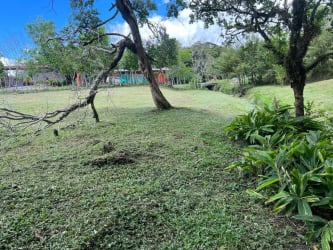 Natural creek flowing amid lush greenery and rocky bed on rural land in Volcán Panama