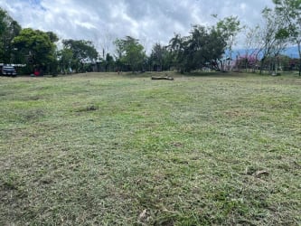 Lush landscape view with grassy lawn, mature trees under blue sky in Volcán Panama