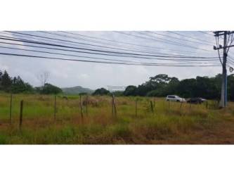 Cleared flat land along Panamericana Highway perfect for warehouse, retail or mixed-use in Burunga