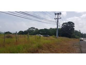 Large open commercial lot with frontage on Panamericana Highway Burunga Panama