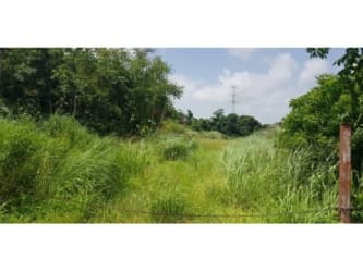 Wide natural lot with trees and vegetation in Valle Hermoso Panama for sale