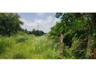 Undeveloped land parcel with natural greenery ready for residential development Arraijan Panama