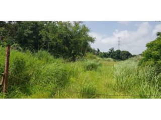 Land for Sale in Valle Hermoso - 0 bedrooms