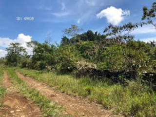 Land for Sale in Potrerillos - 0 bedrooms
