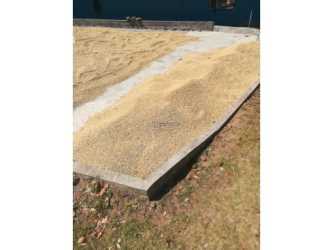 Large concrete patios for sun drying coffee beans at Piedra de Candela Coffee Estate Panama