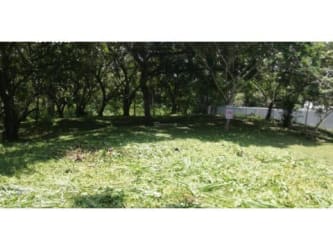 Large flat wooded lot with grass and mature trees at Costa Esmeralda Panama