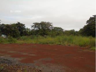 Open plot with gravel cleared surface surrounded by vegetation at Santiago Panamericana
