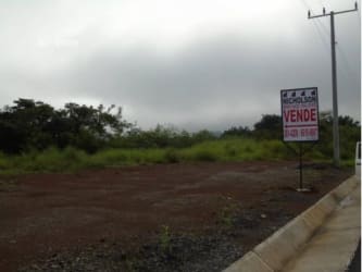 Vacant lot with roadside paved access utility pole and greenery in Santiago Panama
