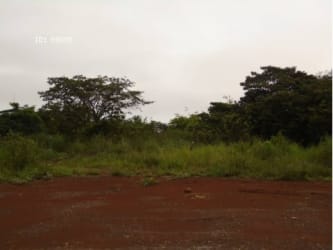 Wide open flat lot with grass and trees near Interamerican Highway Santiago Panama