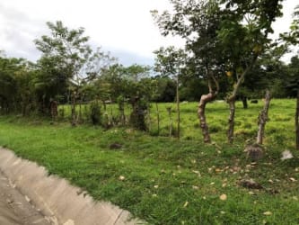 Street view of highway adjacent land parcel with potential commercial use in Panama