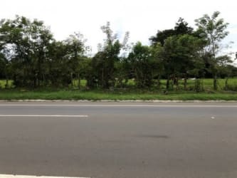Paved access road along grassy commercial land parcel in Dolega Chiriqui Panama