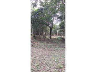 15,000 m2 Mountain Land for Sale El Valle Entrance Anton in - View 2