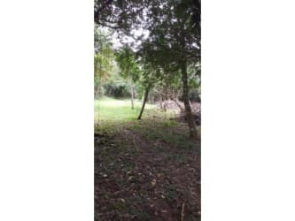 15,000 m2 Mountain Land for Sale El Valle Entrance Anton in - View 3