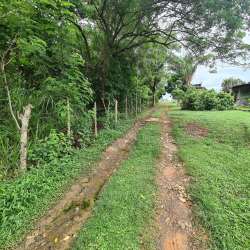 Fenced vacant grassy lot with utility lines next to Inter-American Highway Capira Panama