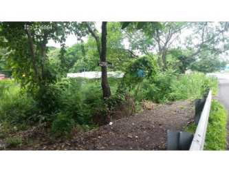 Vacant roadside real estate plot with trees and dirt path along Panama's Panamericana highway