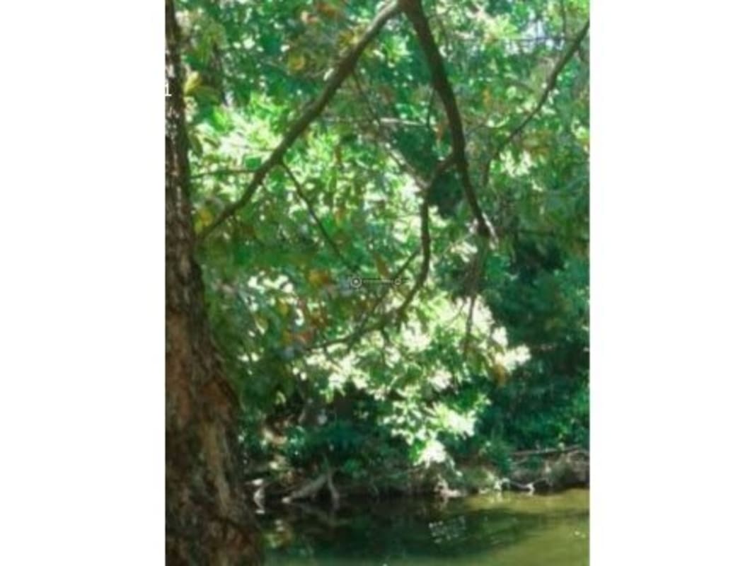 Mountain views with open grazing land for cattle at ranch in Tanara Chepo Panama