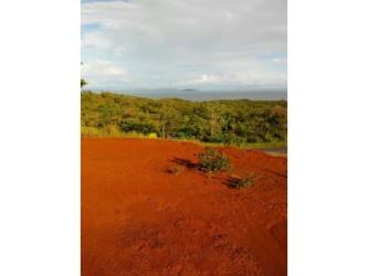 Cleared mix of pastureland and forest at coastal estate in Torio, Panama