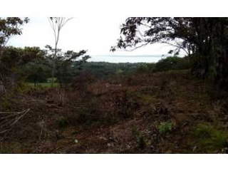 Land for Sale in Torio - 5 bedrooms