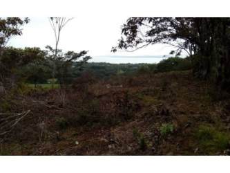 Wooded tropical land cleared parcels mountain backdrop near beach in Veraguas Panama