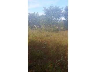 Open grassy fields with tropical trees blue sky at coastal property in Torio Veraguas
