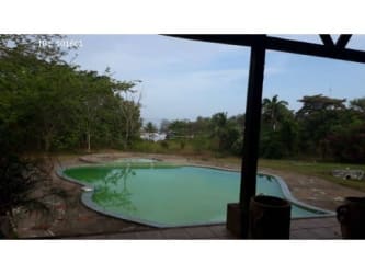 Sandy beach lined with tropical vegetation very private coastline Torio Veraguas Panama