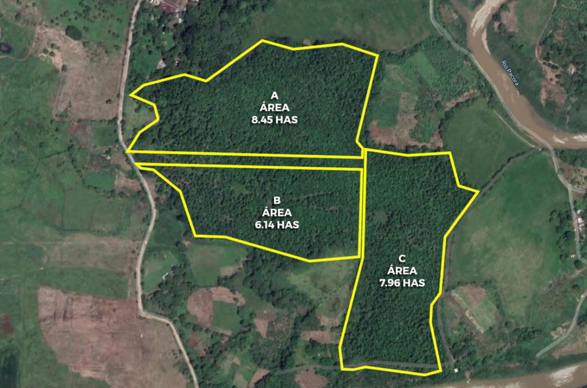 Aerial satellite image of rural land parcels outlined with vegetation and river Pacora Panama