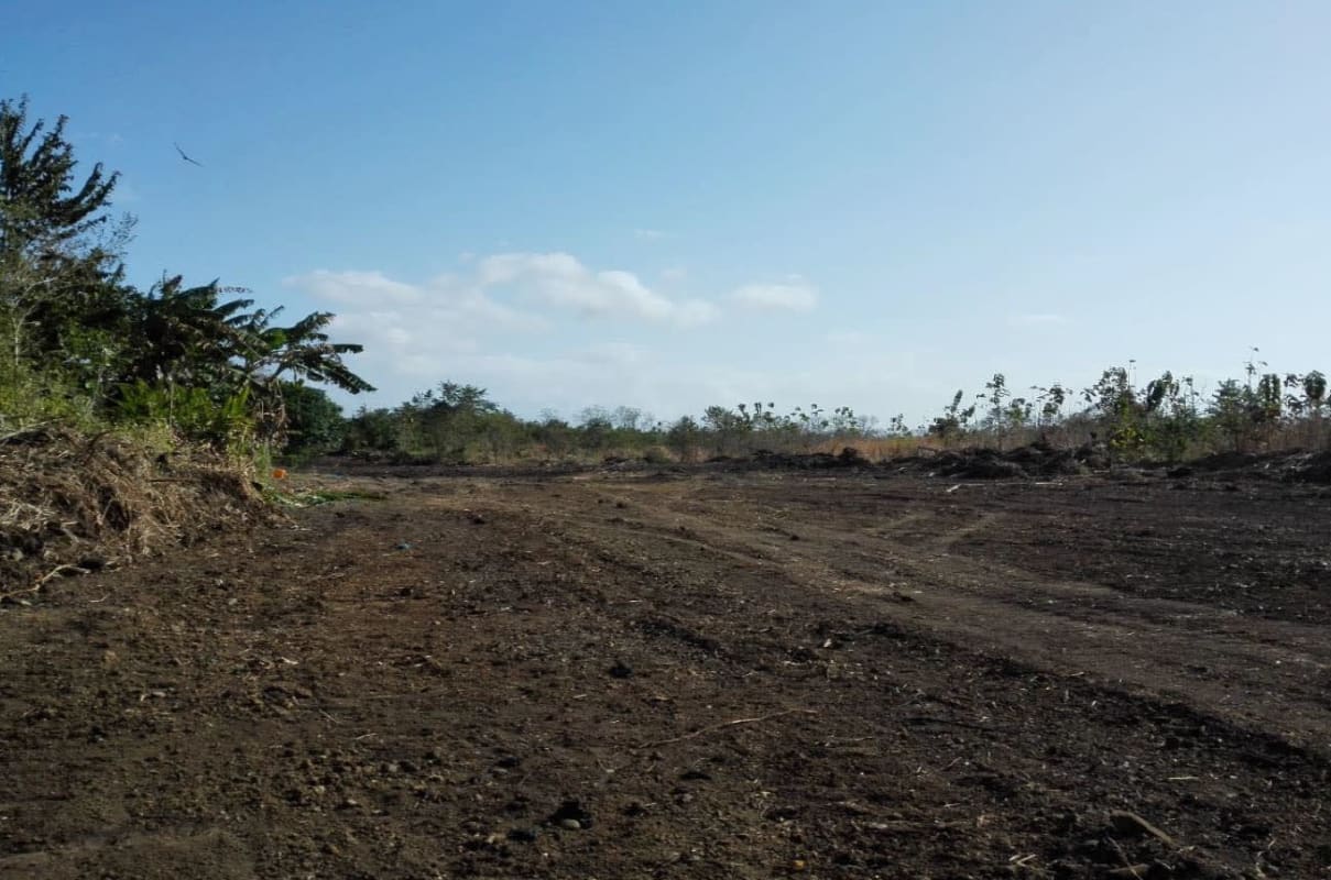 Vacant lot with minimal vegetation open sky Pacora Panama