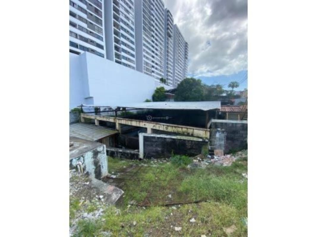 Old structure with overgrown vegetation in development lot Condado del Rey