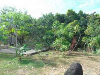 Land for Sale in San José - 0 bedrooms