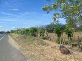 Wooded lot suitable for agriculture or residential with mature trees in San José Panama West