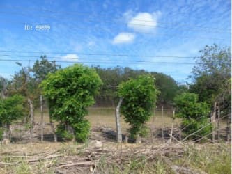 Cleared land with fencing and rural scenery near highway in Panama West