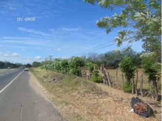 Roadside flat rural land parcel with fence and trees in Panama