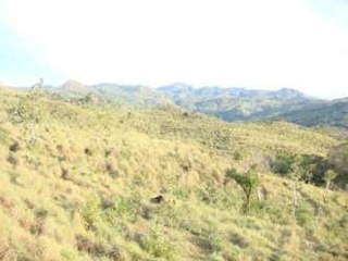 Land for Sale in Caldera - 0 bedrooms