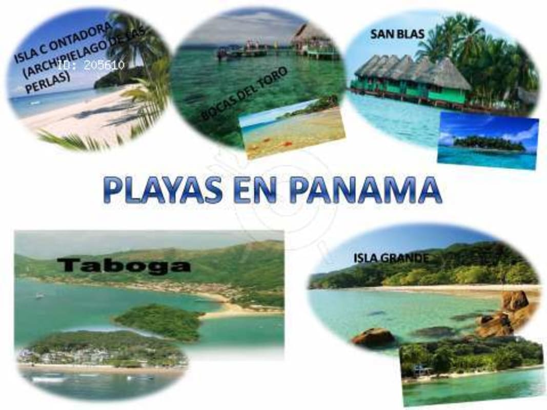 Luxurious infinity pool with panoramic ocean views and tropical palm trees at Buenaventura Panama