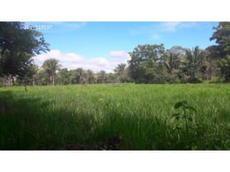 Farm Land with Water Source, Housing, Cattle Pens 44ha Chiriqui