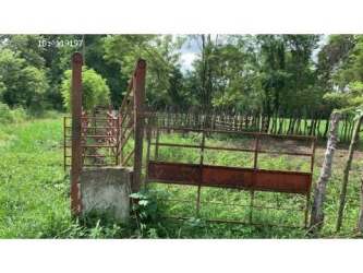 Livestock pen cattle corral fenced property for sale Chiriqui agricultural Panama