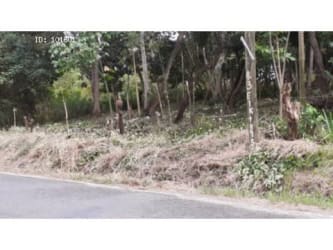 Wooded edge of rural flat land with paved road La Hincada Anton Panama