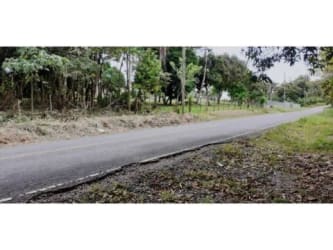 Countryside lot with paved road, trees and greenery in Río Hato Coclé Panama